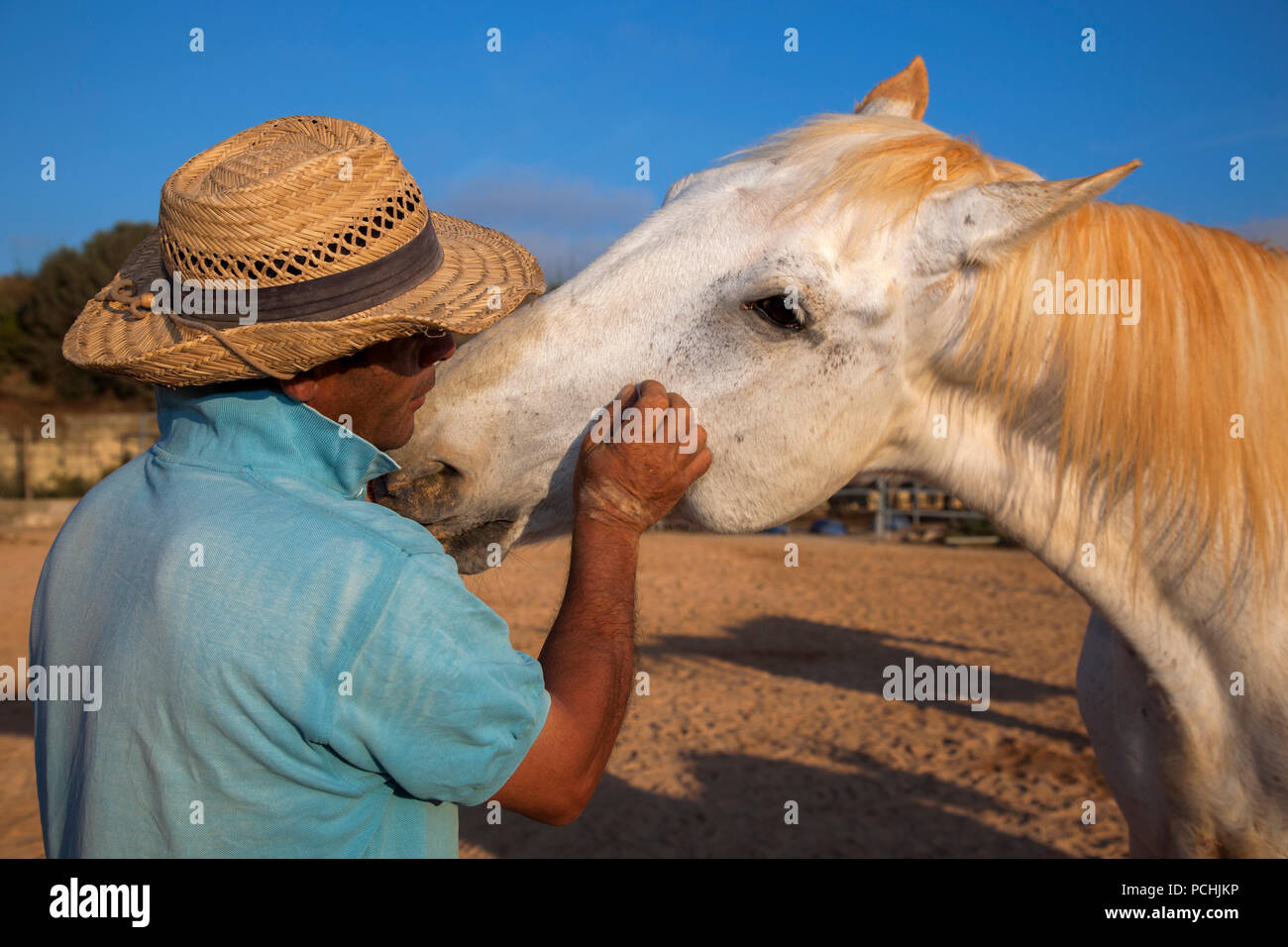 A horse whisperer interacts with one of his horses at a farm for equine