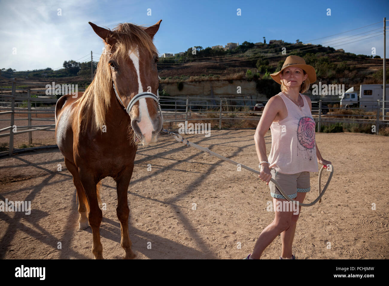 A visitor at a horse-farm practising the handling of horses and horsemanship. Stock Photo