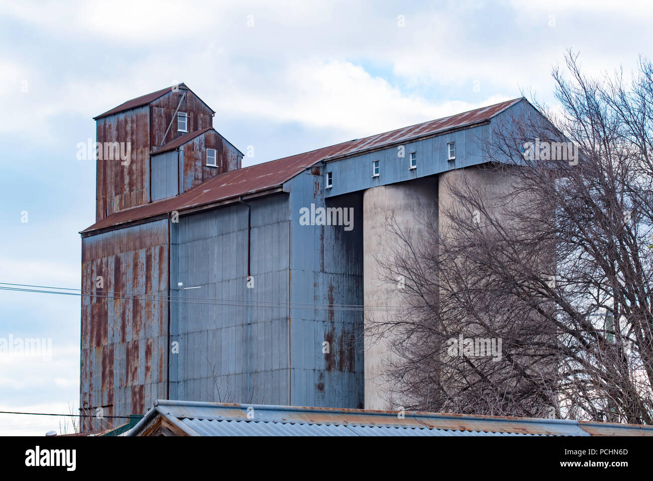 The concrete (1950's) and Oregon timber grain silos of the former Tremain’s Victoria Mill in Bathurst NSW, Australia Stock Photo