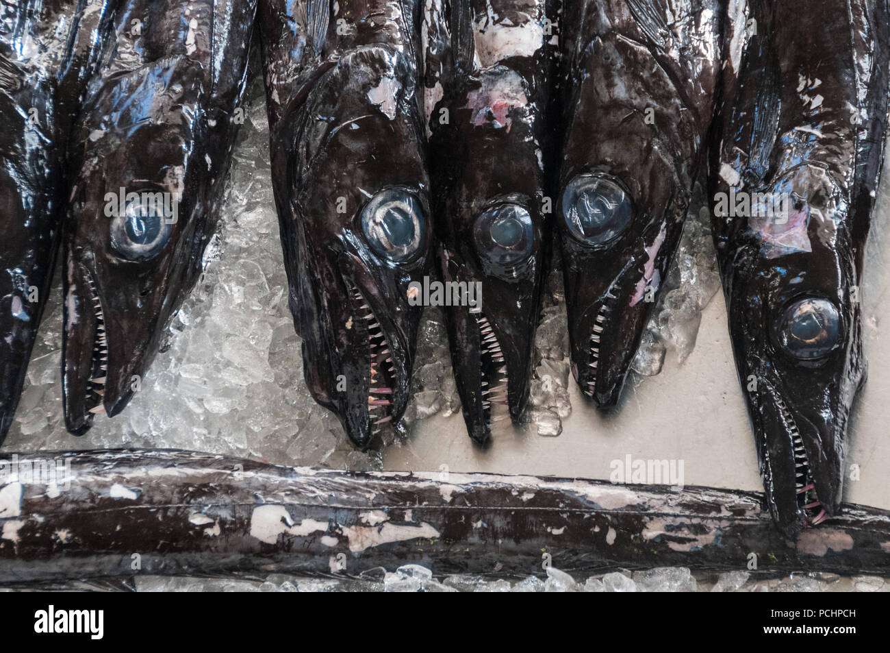 Black Scabbard fish in the Mercado dos Lavradores, Funchal, Madeira Stock Photo