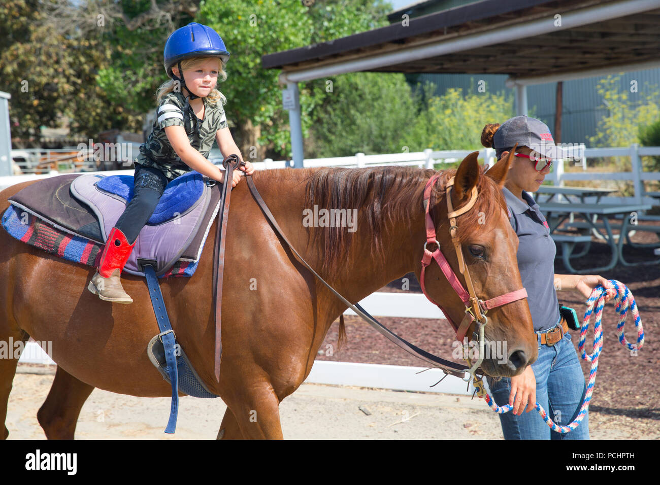 Exploring The Heritage Behind Stepp Stables: A Family's Connection To The Land