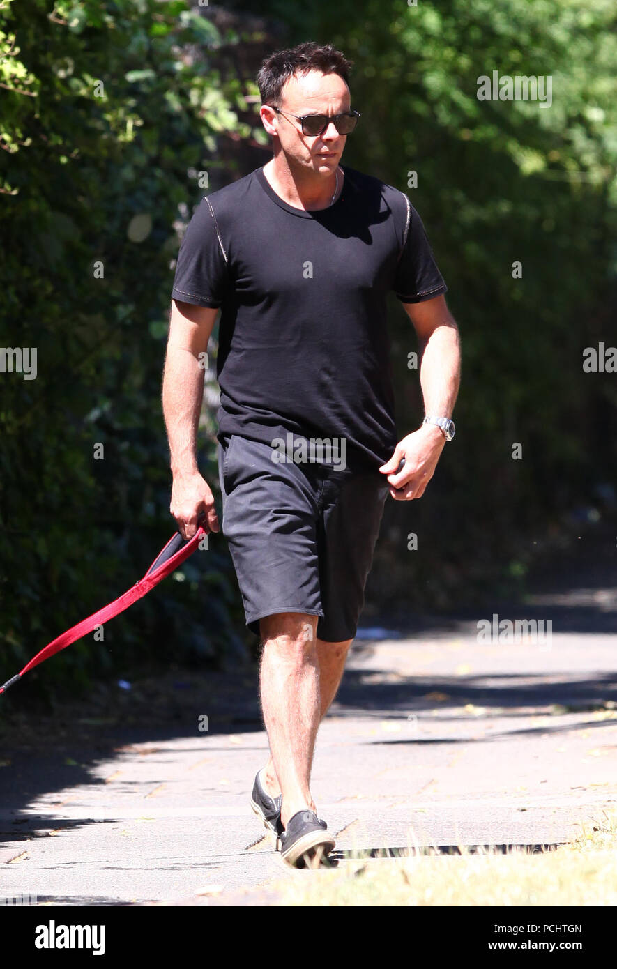 Anthony McPartlin walking his dog Hurley in the sunshine. Featuring