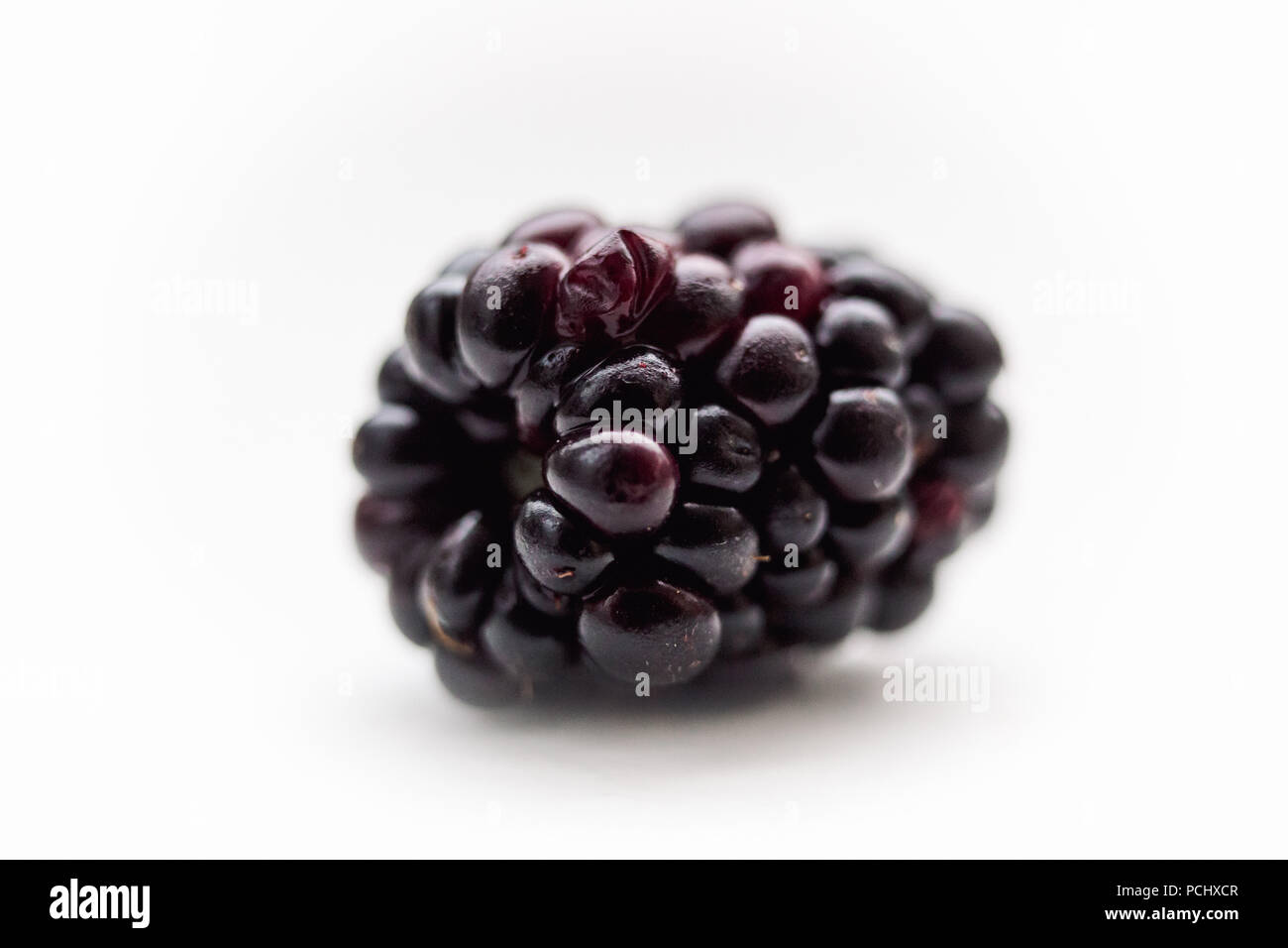 One blackberry close up on a white background Stock Photo