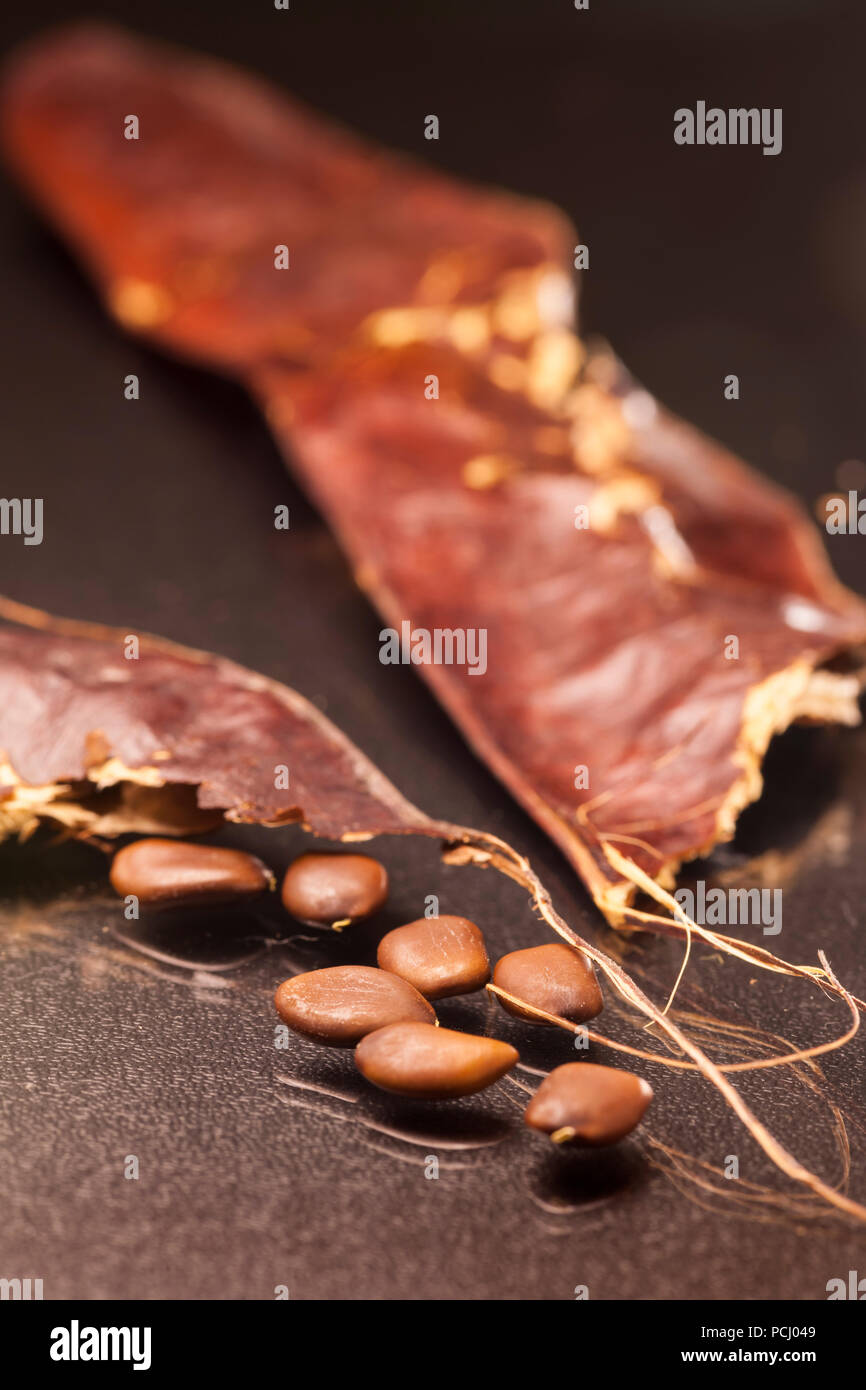 Close-up of the broken pod of an American Gleditschie (Gleditsia triacanthos) with seeds on dark glass surface. Stock Photo