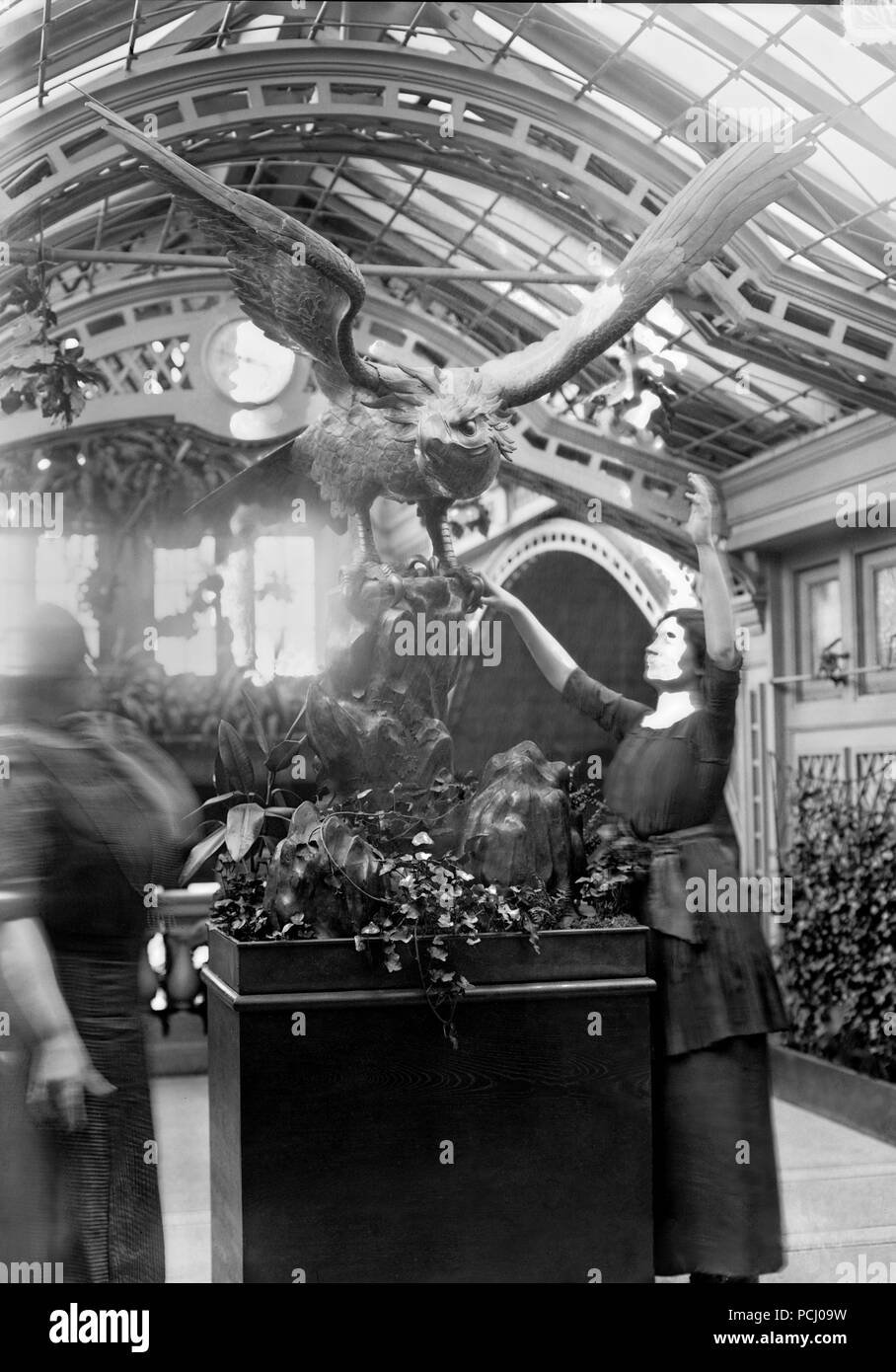 Helen Keller, with her teacher and companion Anne Sullivan Macy, reaches out to touch an eagle display at the International Flower Show April 1913 in New York City, New York. Helen Keller (June 27, 1880 – June 1, 1968) was an American author, political activist, and lecturer. She was the first deaf-blind person to earn a bachelor of arts degree. Stock Photo