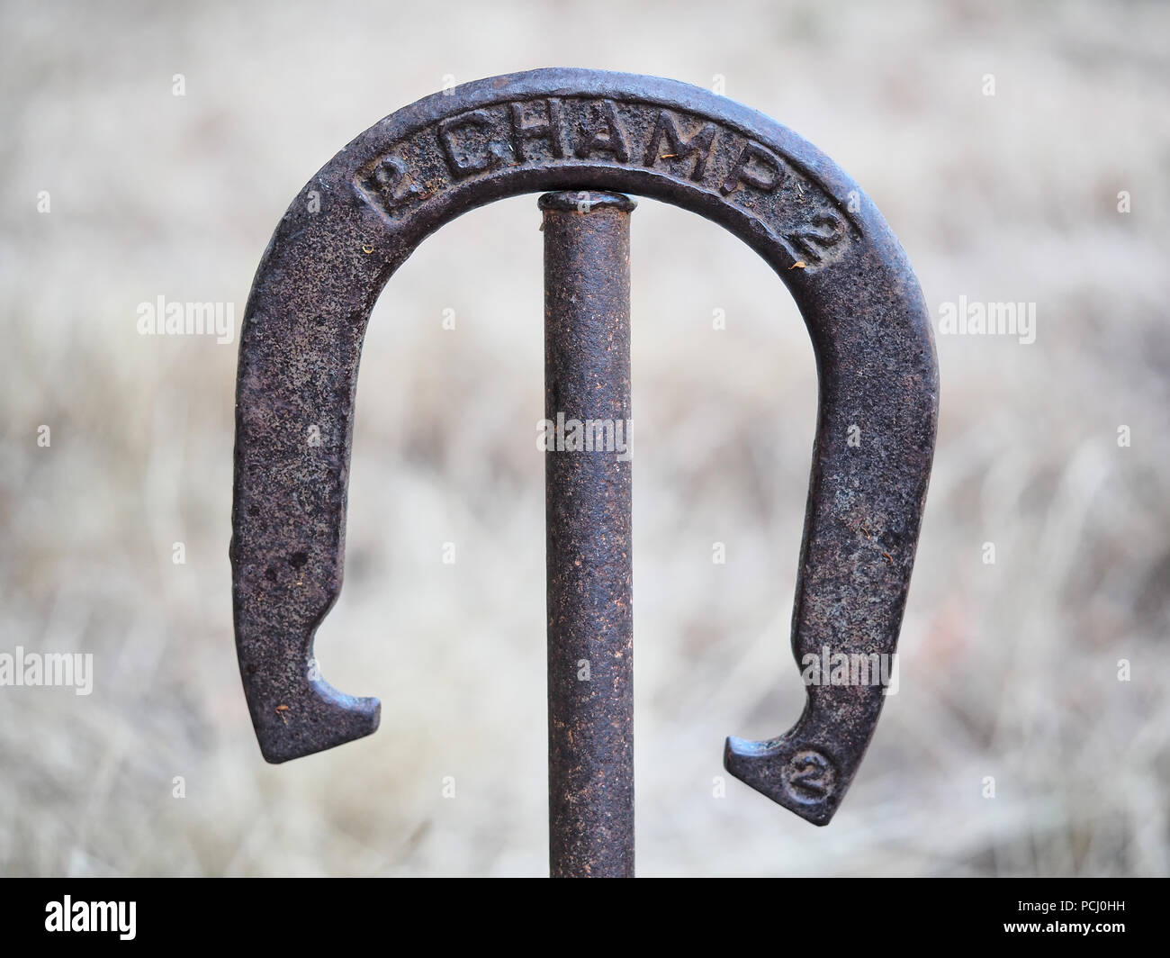 Old and rusty pitching horseshoe hanging on a target stake Stock Photo