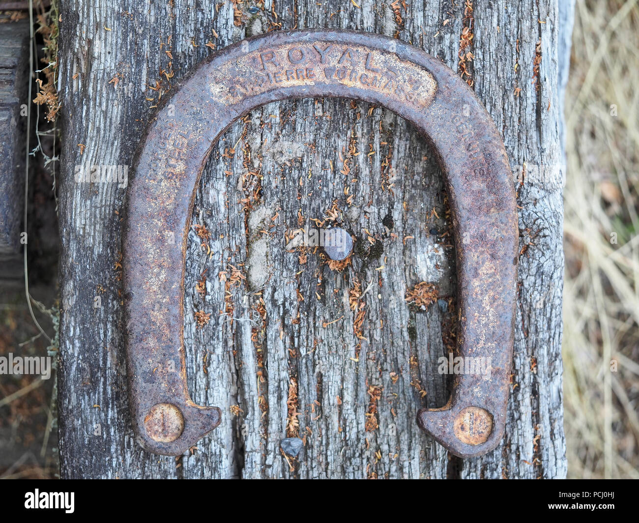 Old and rusty pitching horseshoe Stock Photo