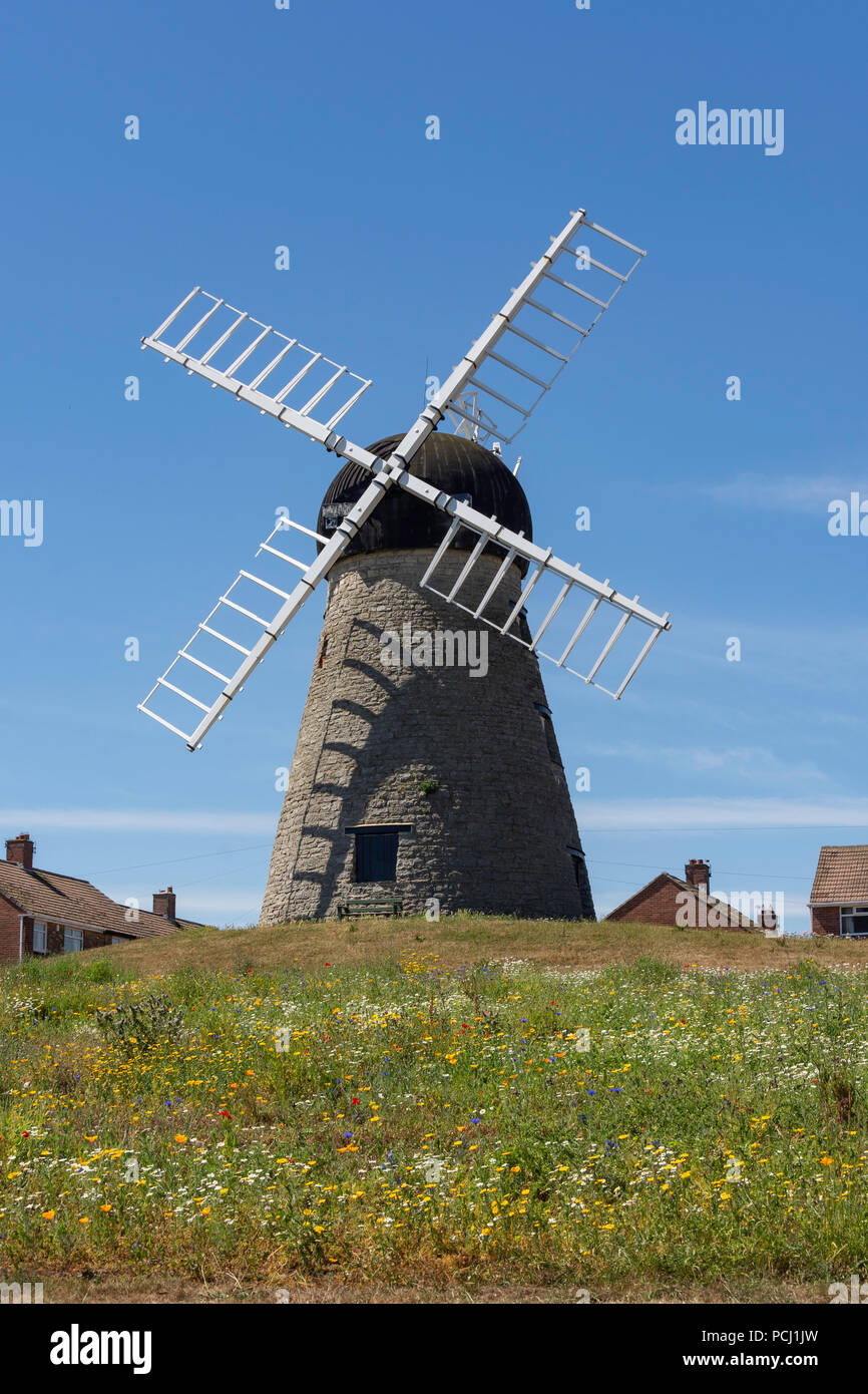 Whitburn Windmill, Cedar Grove, Whitburn, Tyne and Wear, England, United Kingdom Stock Photo