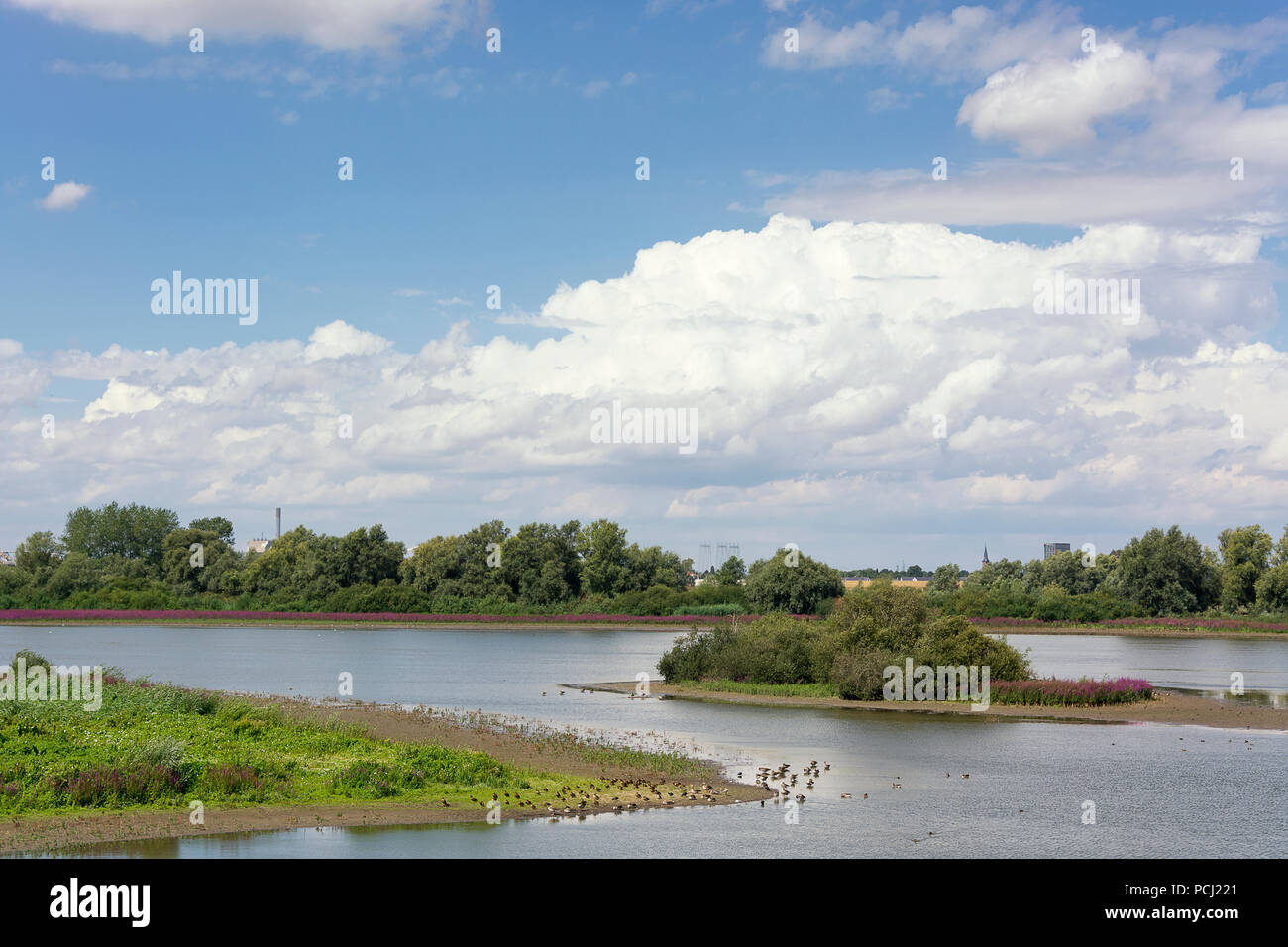Scenic view on the polder with the Oude Waal and the Groenlanden in the Ooijpolder near Nijmegen. province Gelderland in the Netherlands. Stock Photo
