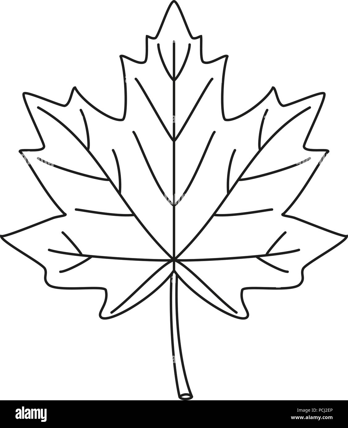 Line art black and white maple leaf Stock Vector
