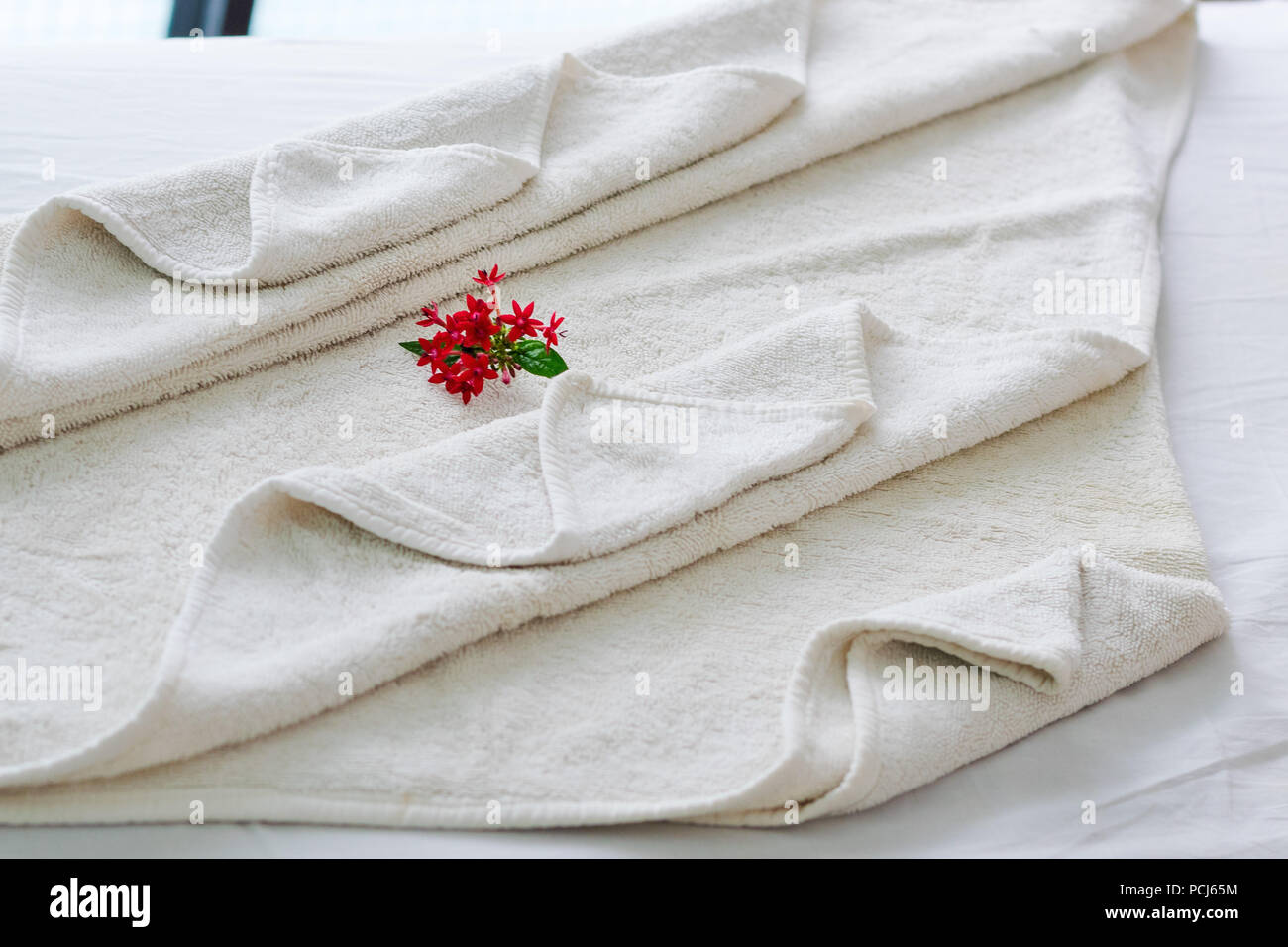 Folded massage towel, flower petals and pebble stones on a massage bed in a luxury resort spa, Nepal. Stock Photo