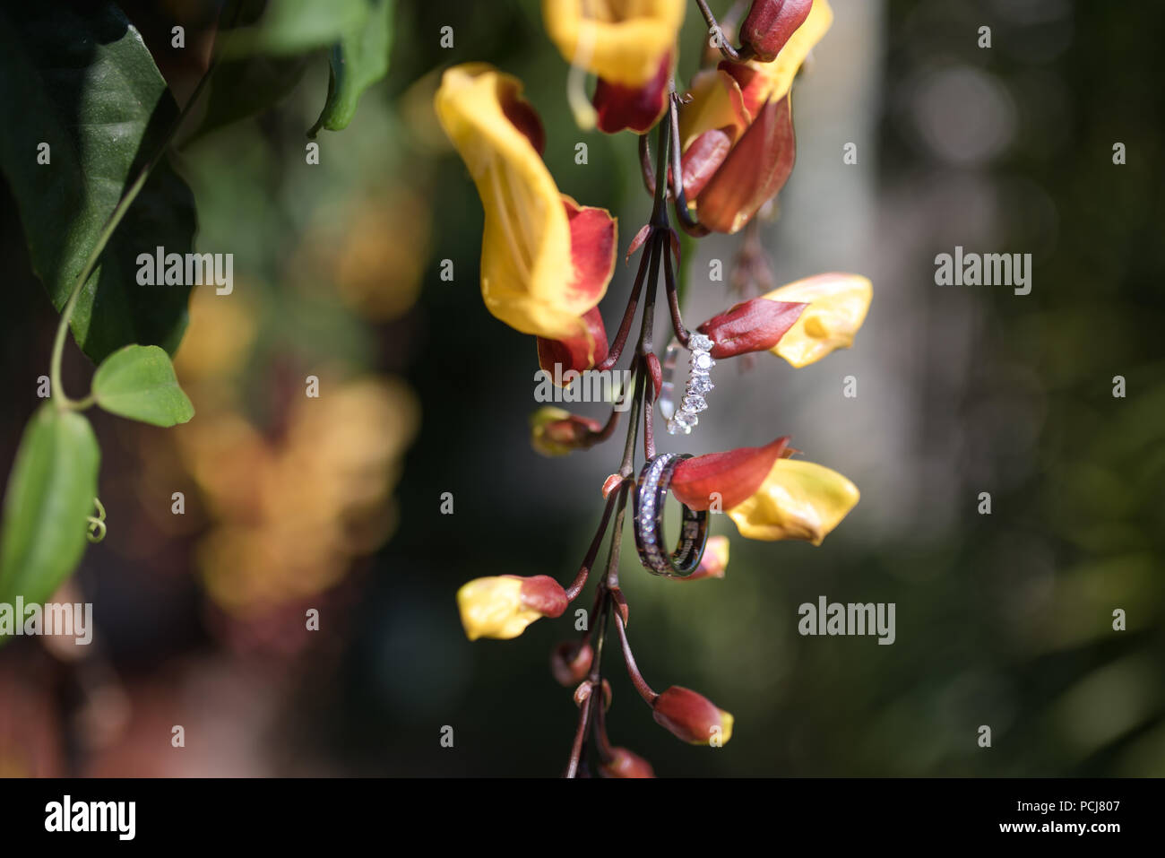 Wedding decoration and flowers with wedding rings Stock Photo