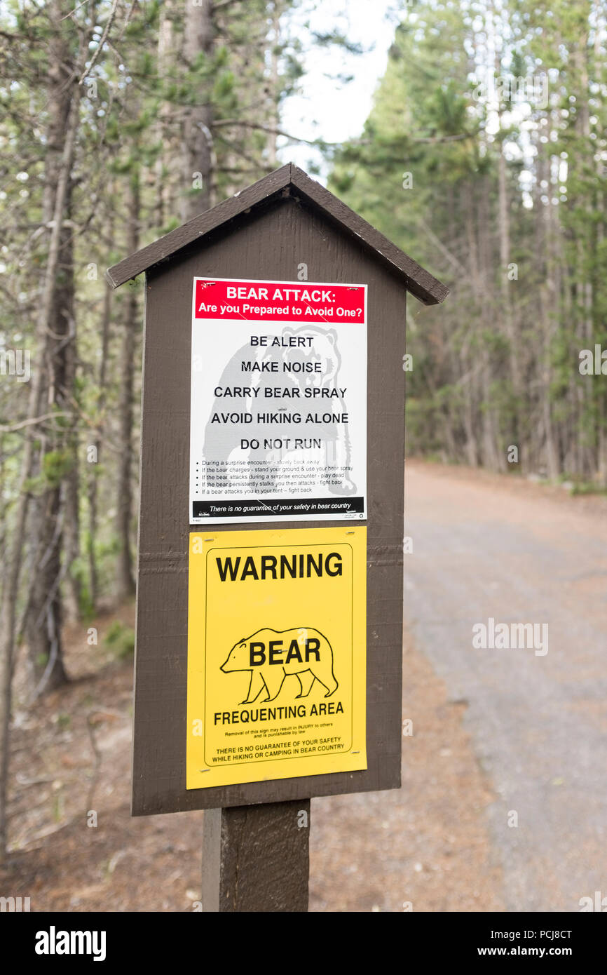 Colter Bay Stock Photos Colter Bay Stock Images Page 2 Alamy