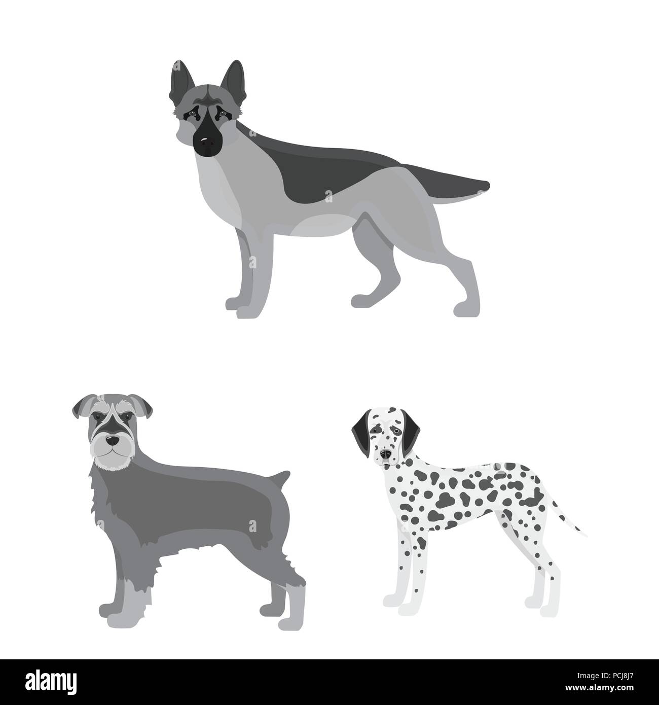 Dog breeds monochrome icons in set collection for design.Dog pet vector ...
