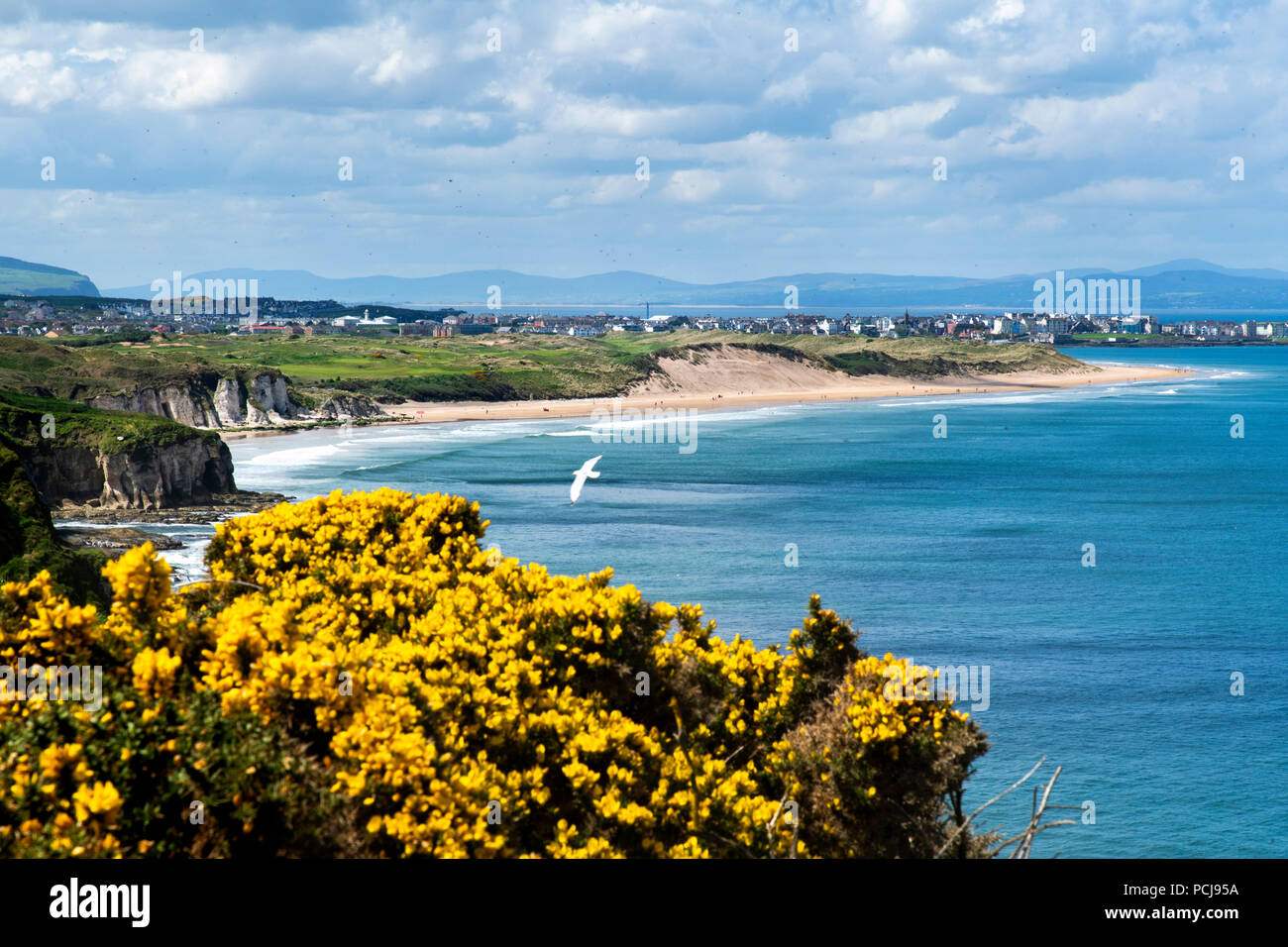 White Rocks Ireland White and ireland hi-res stock photography and images - Alamy