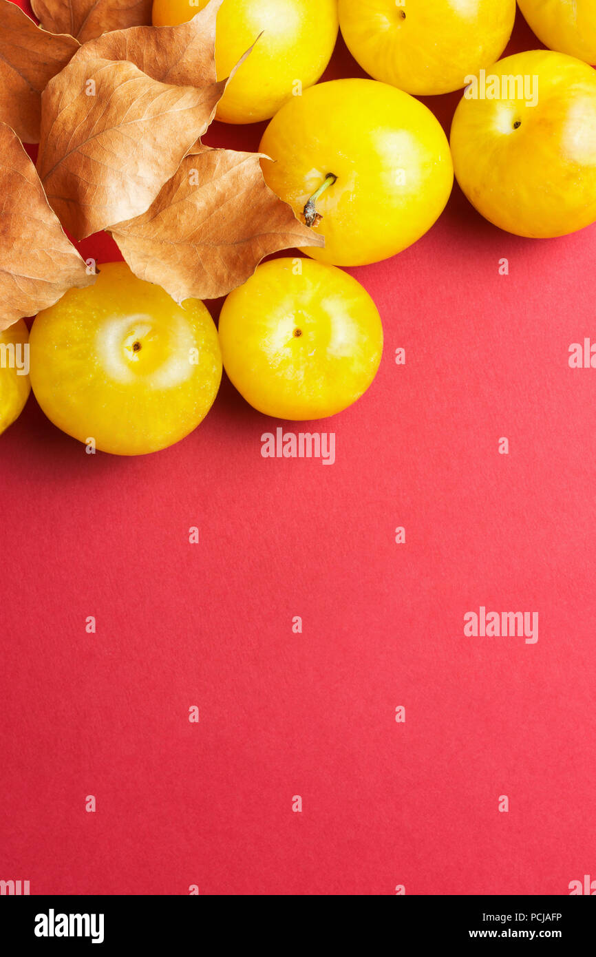 Ripe juicy colorful yellow plums with dry orange leaves on dark red crimson burgundy background. Flat lay arrangement composition. Fall Thanksgiving m Stock Photo