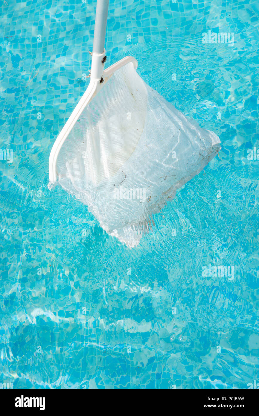 Process of cleaning swimming pool by skimming leaves and pine tree