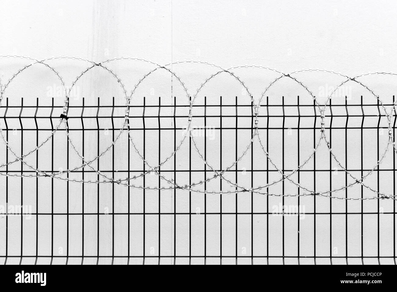fence with barbed wire on white wall background Stock Photo - Alamy