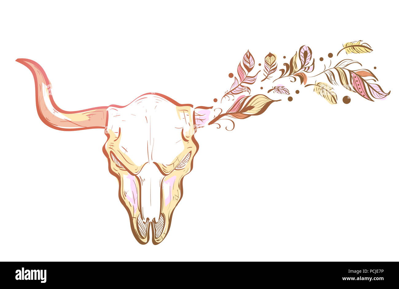 Illustration of a Bull Skull Boho Design with Feathers Flowing Stock Photo