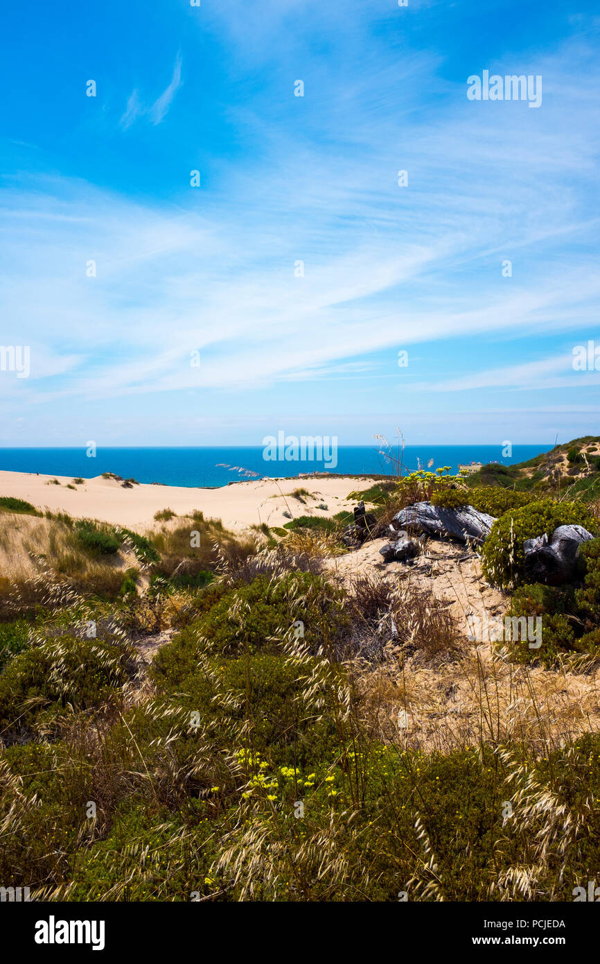 Duna Da Cresmina,  sand dunes, Cascais, Lisbon, Portugal, part of the  Guincho-Cresmina dune system. Stock Photo