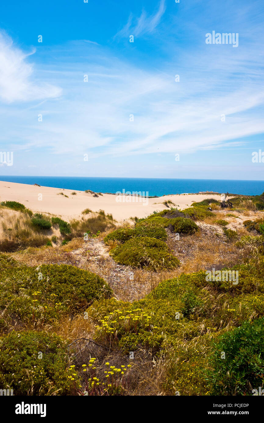 Duna Da Cresmina,  sand dunes, Cascais, Lisbon, Portugal, part of the  Guincho-Cresmina dune system. Stock Photo