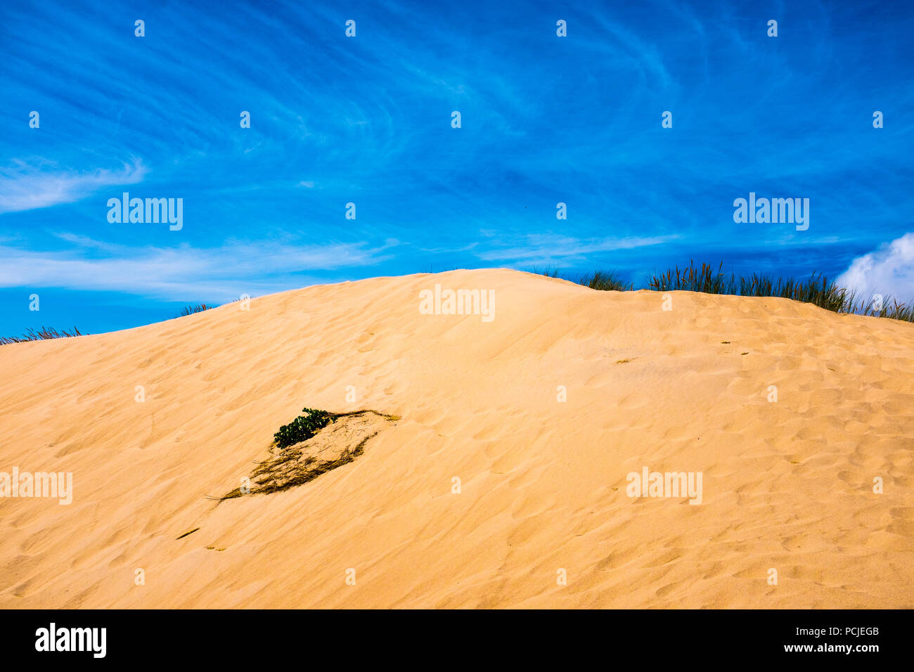 Duna Da Cresmina,  sand dunes, Cascais, Lisbon, Portugal, part of the  Guincho-Cresmina dune system. Stock Photo