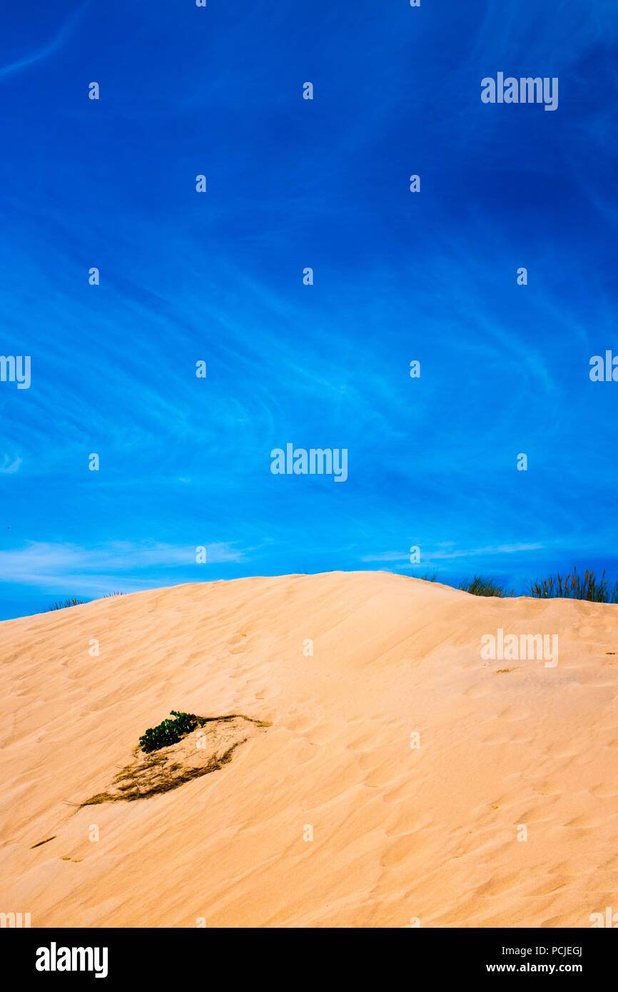 Duna Da Cresmina,  sand dunes, Cascais, Lisbon, Portugal, part of the  Guincho-Cresmina dune system. Stock Photo