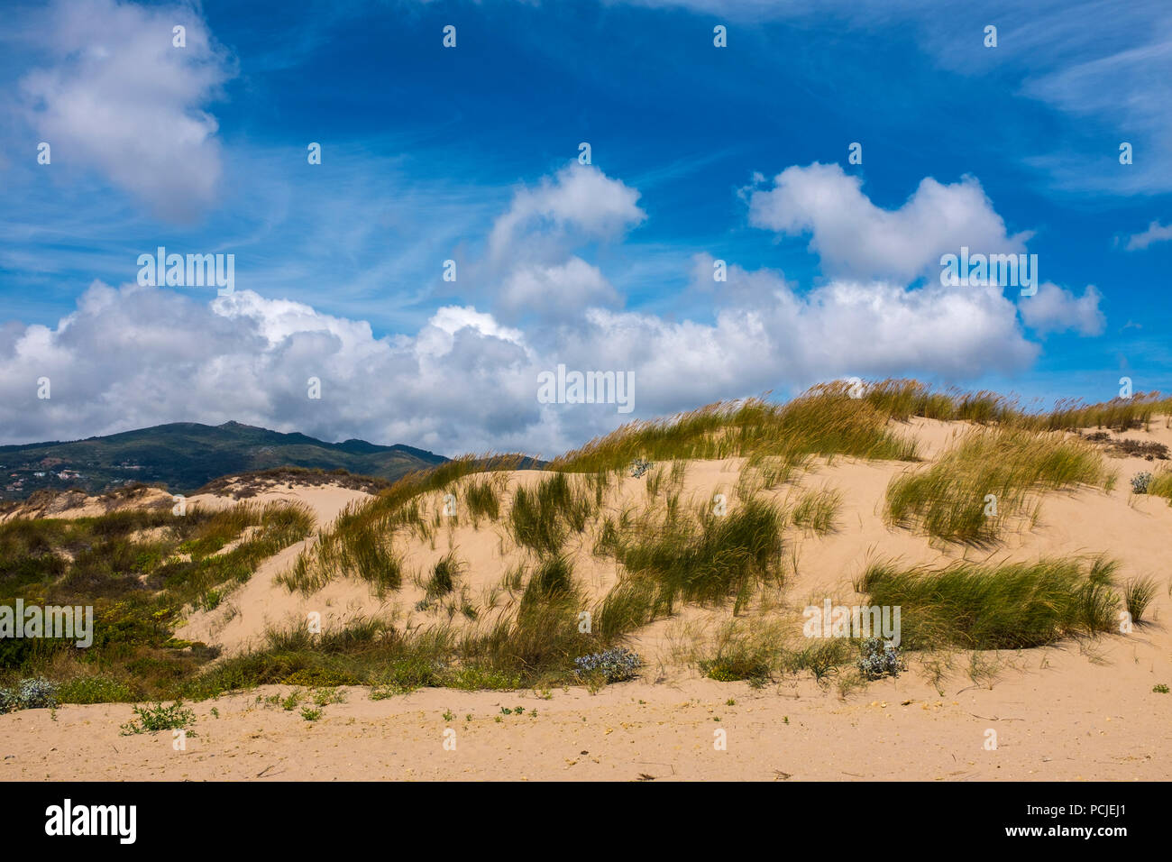 Duna Da Cresmina,  sand dunes, Cascais, Lisbon, Portugal, part of the  Guincho-Cresmina dune system. Stock Photo