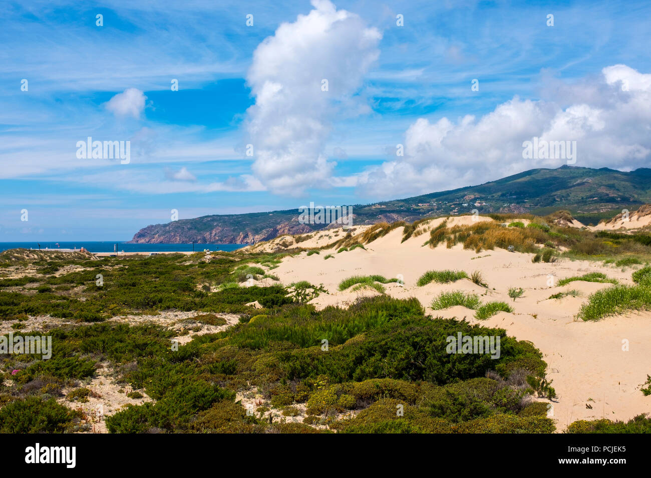 Duna Da Cresmina,  sand dunes, Cascais, Lisbon, Portugal, part of the  Guincho-Cresmina dune system. Stock Photo