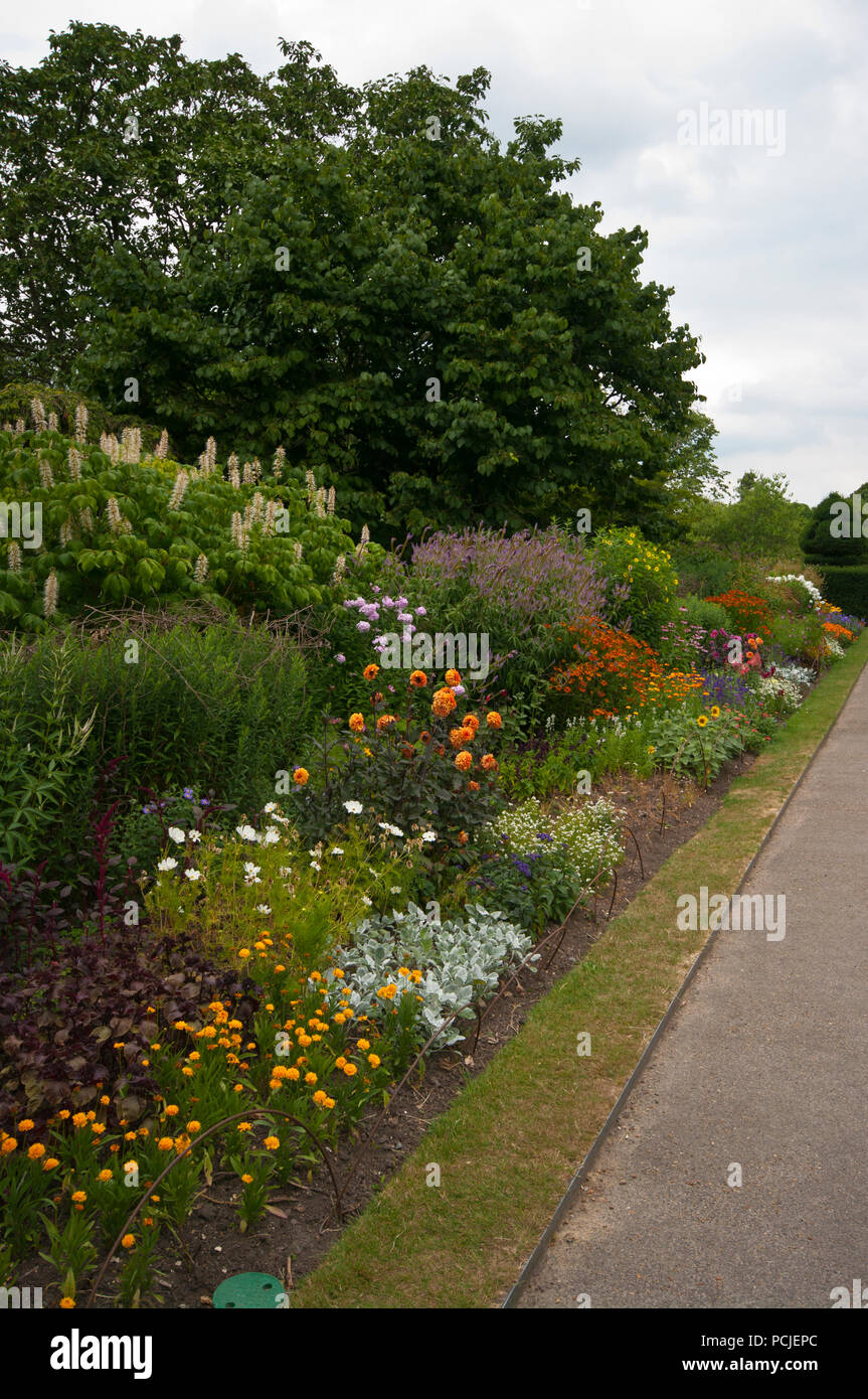 Summer garden border hi-res stock photography and images - Alamy