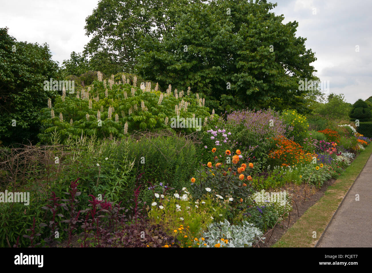 Summer Garden Border In Full Bloom with Flowers in The UK Stock Photo