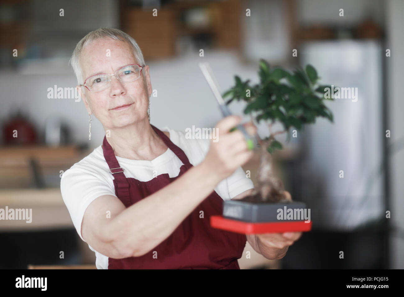 Woman standing in the kitchen tending to a bonsai plant Stock Photo