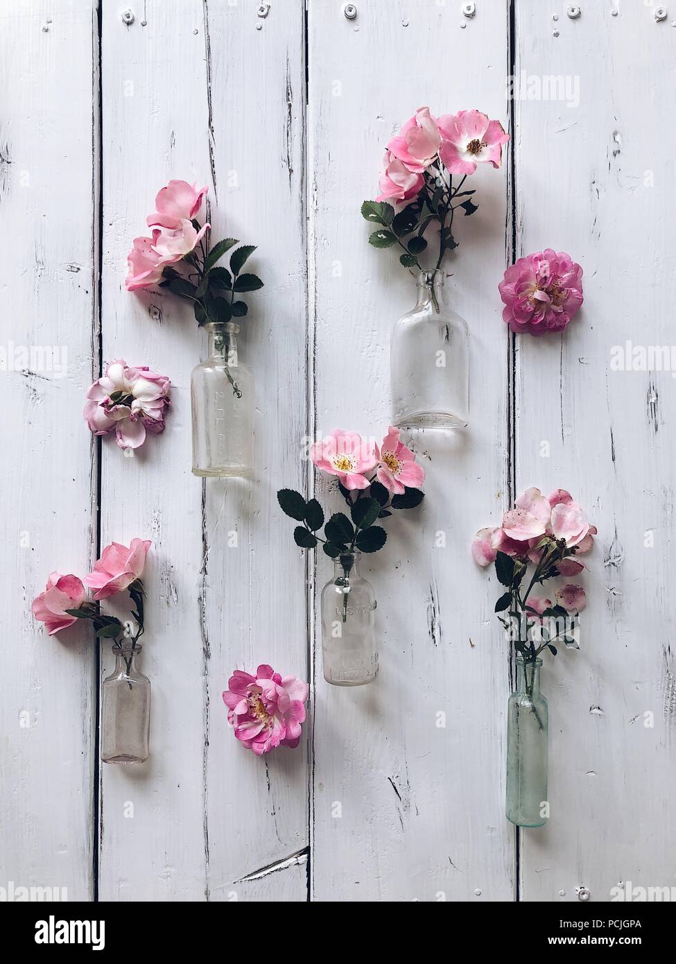 Pink roses in glass bottles Stock Photo Alamy