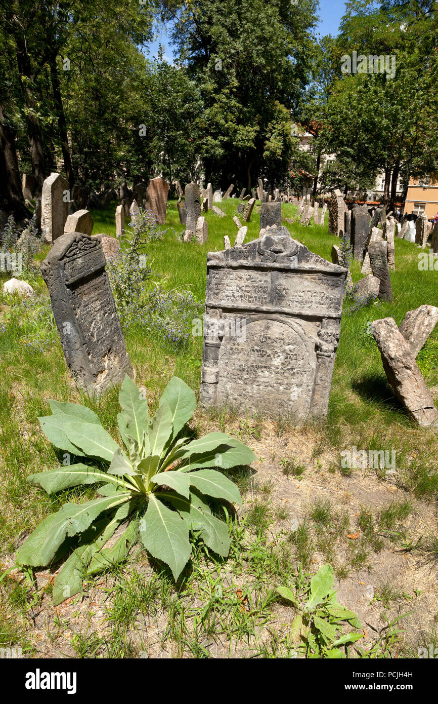 Jewish graveyard, Jewish quarter, Prague Stock Photo