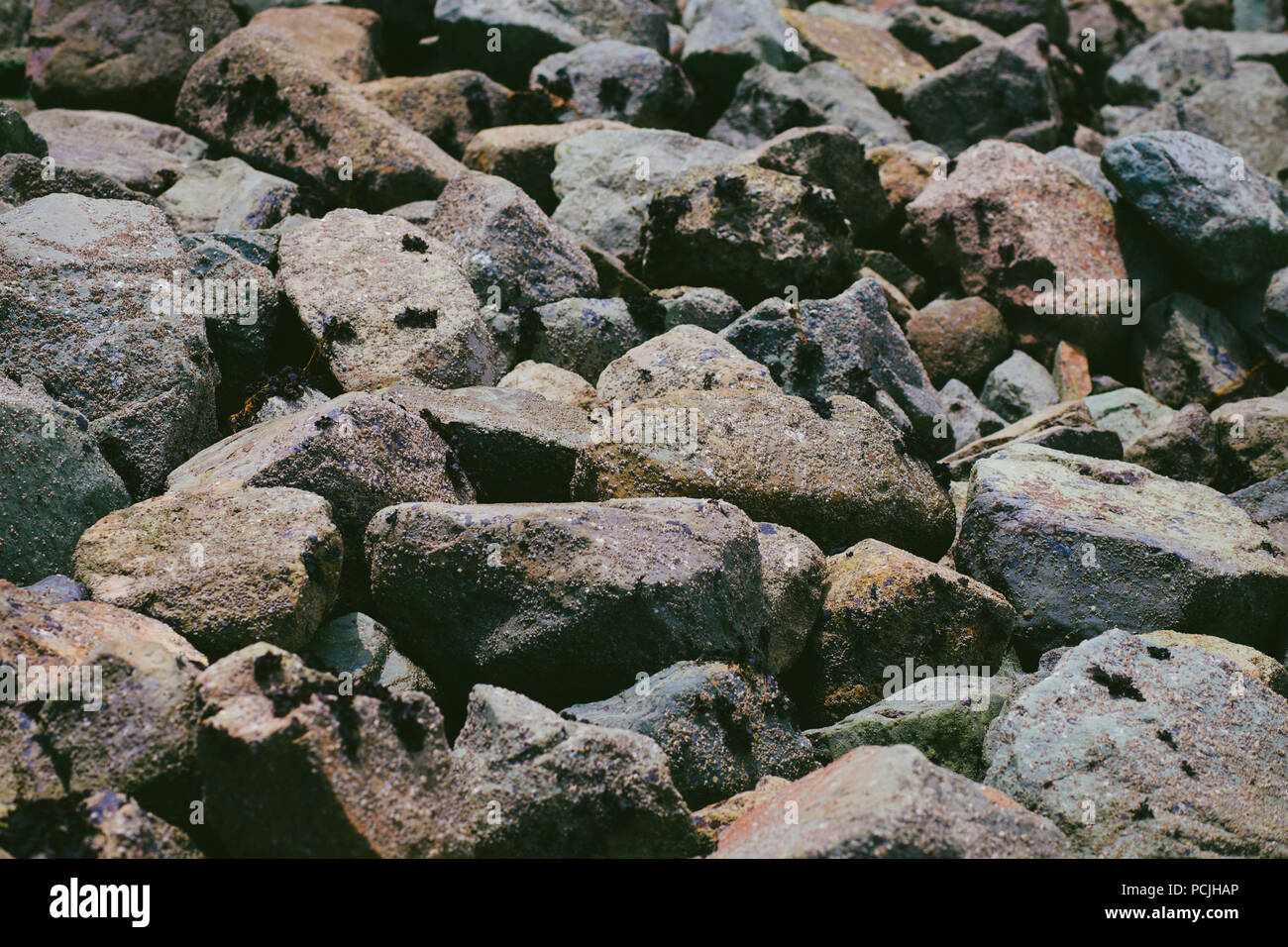 Large Group of Colorful Rocks on a Beach in San Francisco, California ...