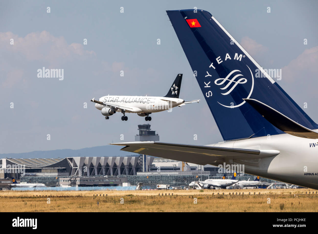 AIPD and SWB Online Statistics Class, image size:1300x956