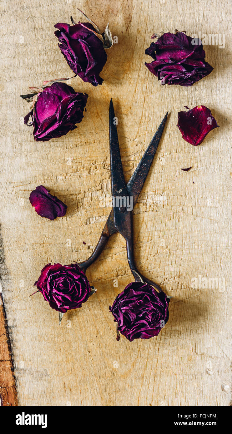 Rusty Scissors with Dry Rosebuds and Few Petals on Wooden Surface ...
