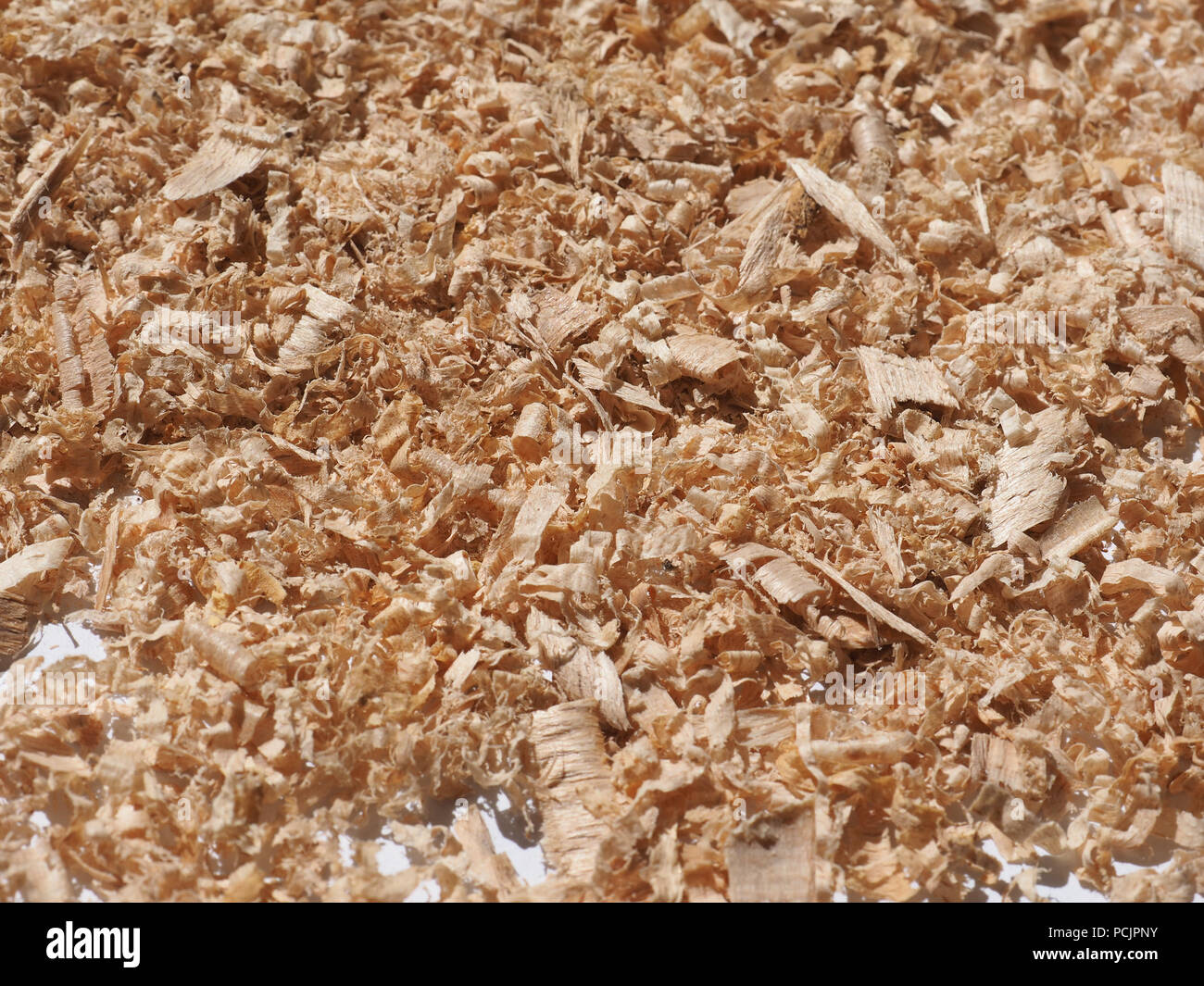 Sawdust wood dust byproduct or waste product of woodworking operations such as sawing milling