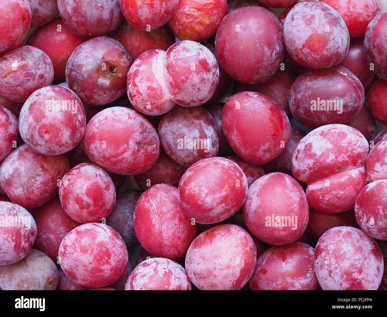 plum prune (Prunus domestica) aka European plum fruit vegetarian food Stock Photo