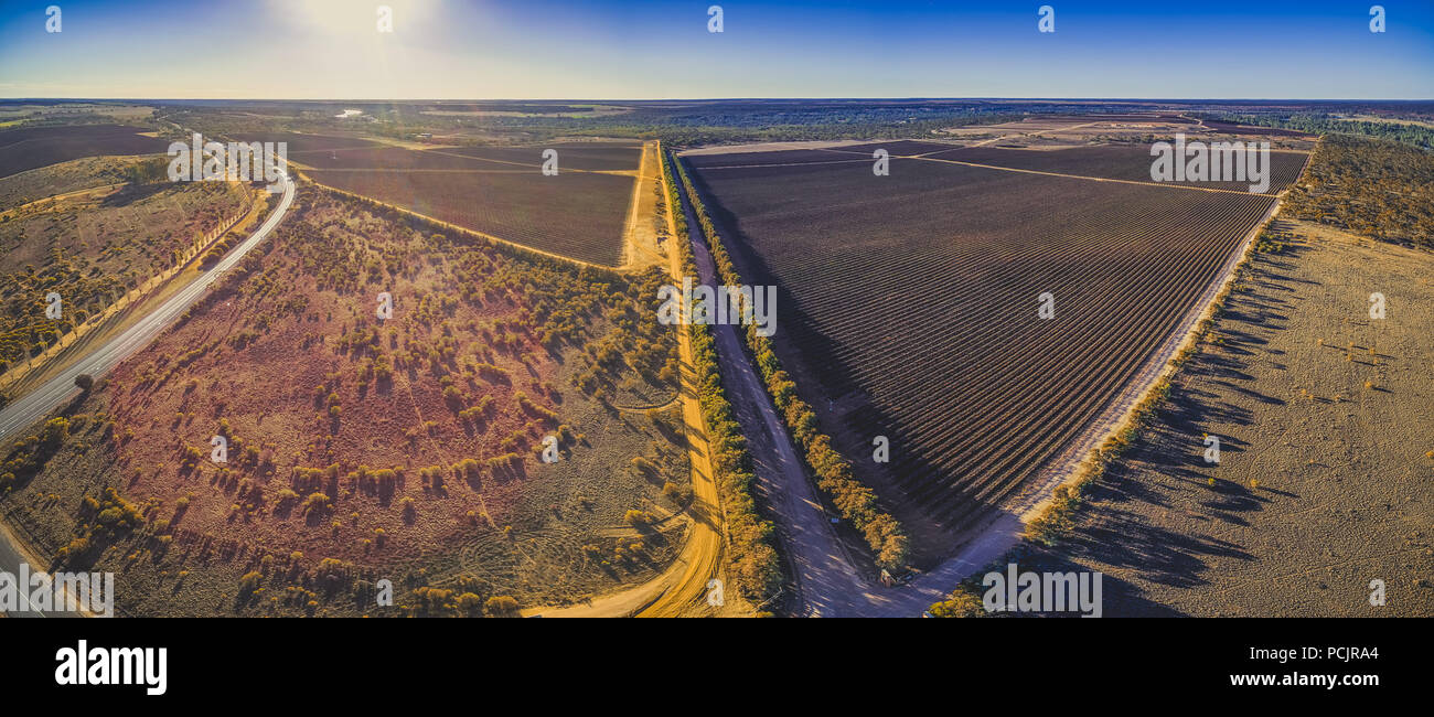 Beautiful vineyards of Banrock Station in Riverland, South Australia - aerial panorama Stock Photo