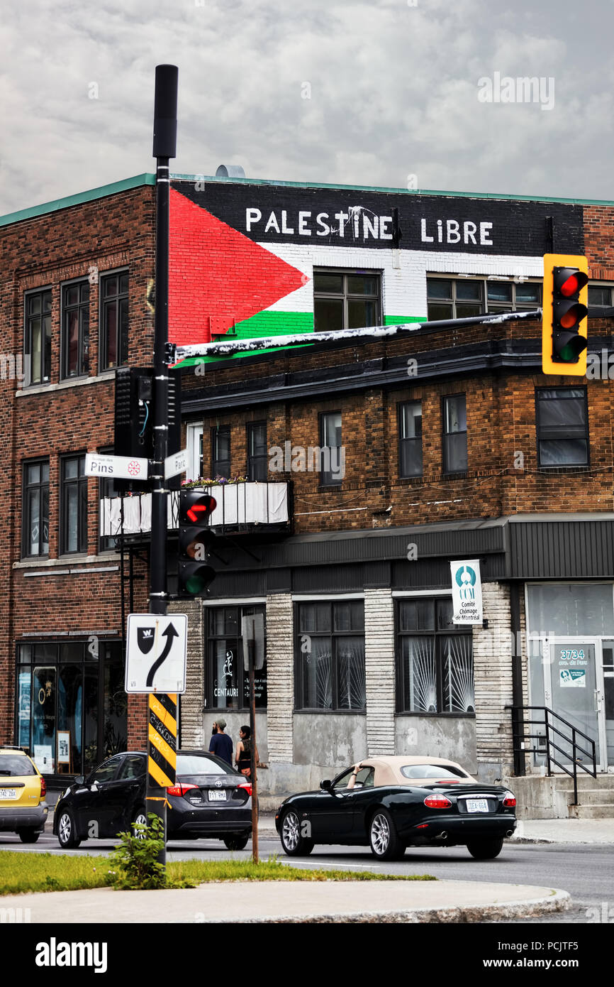 Wall Mural drapeau palestine