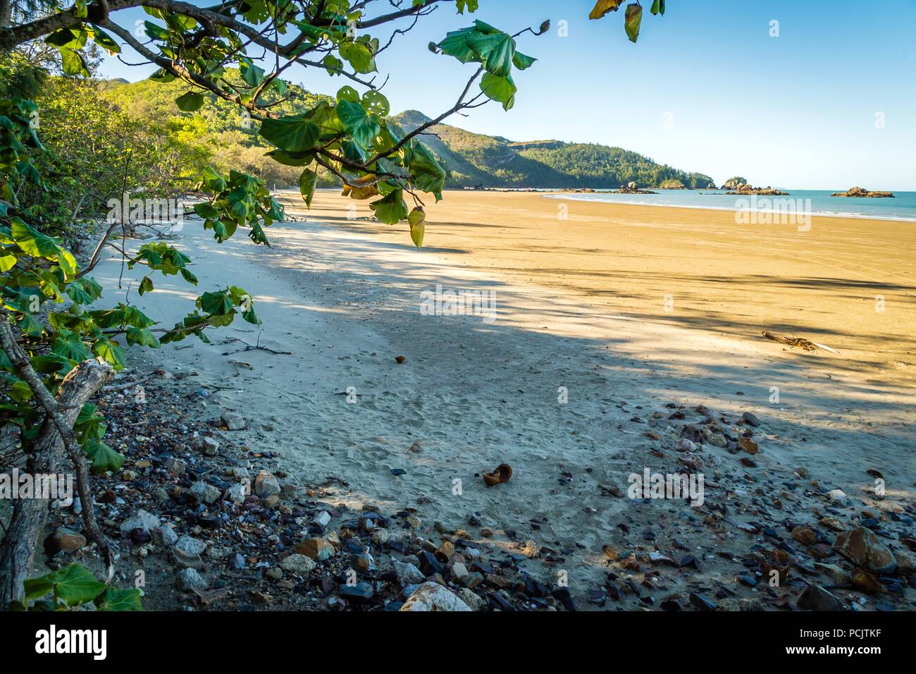 Beach in Cape Hillsborough national park, Queensland, Australia Stock Photo Alamy