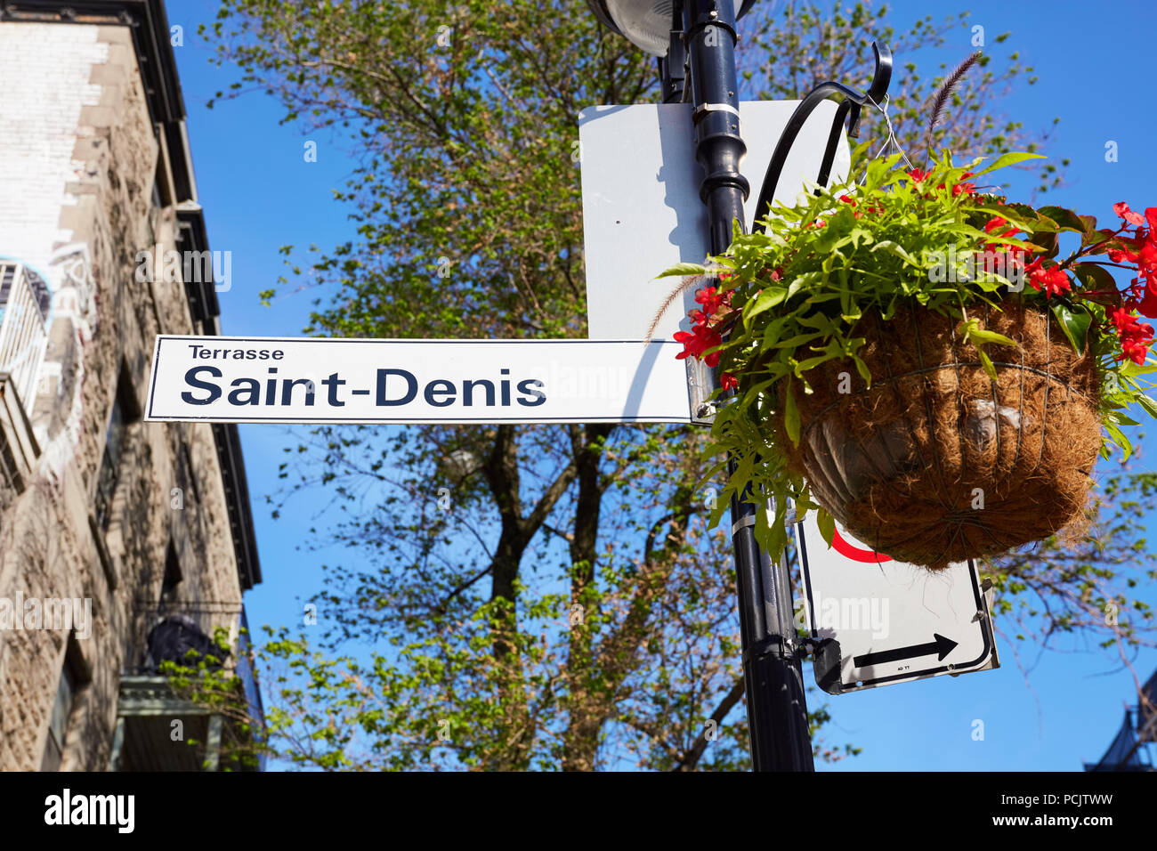 Saint Denis street sign (Rue st-Denis) and a decorative flower pot attached to a lamp post in Montreal Quebec Canada Stock Photo