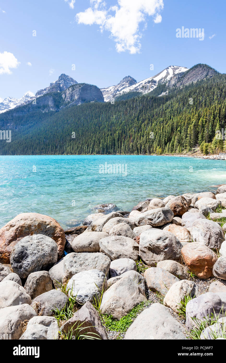 Coniferous woodland on the shore of Lake Louise in the Rocky Mountains, Alberta, Canada Stock Photo