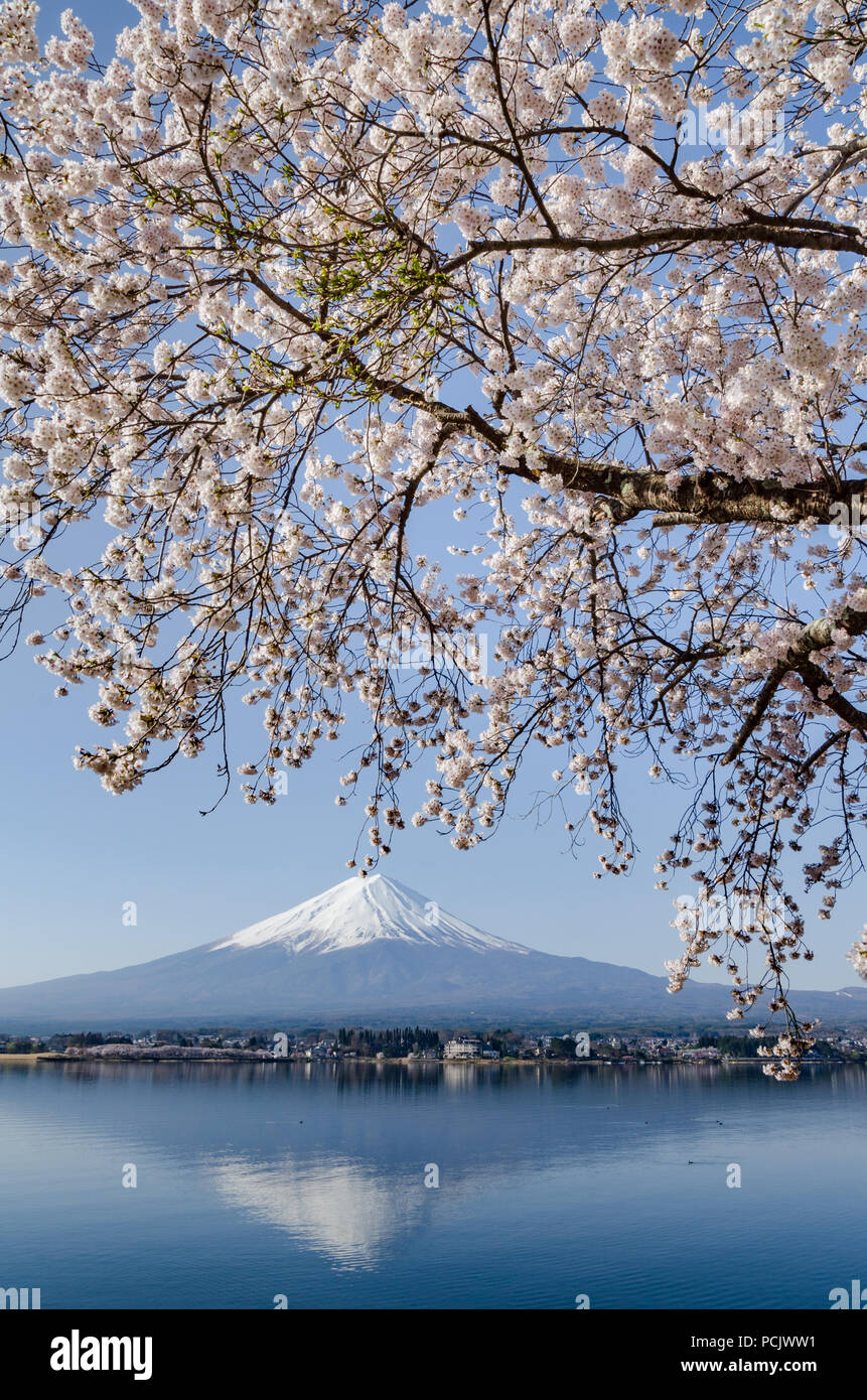 Majestic Mountain Fuji as view from Northern shore of Lake Kawaguchiko, Japan. Lake Kawaguchi is the most touristic among the Fuji Five Lakes. Stock Photo