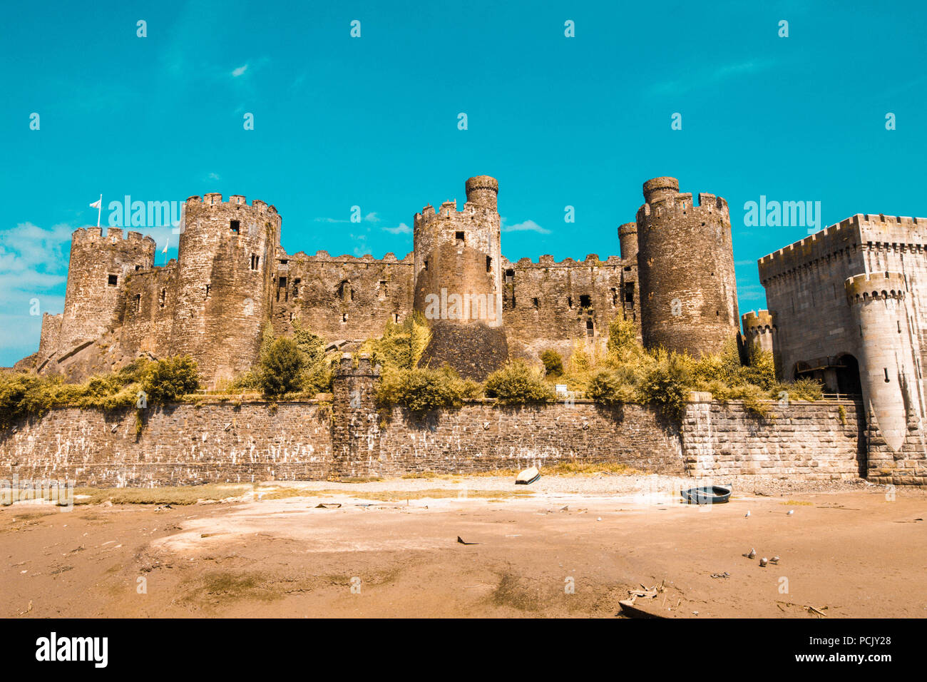 Conwy Castle with dry grass Stock Photo