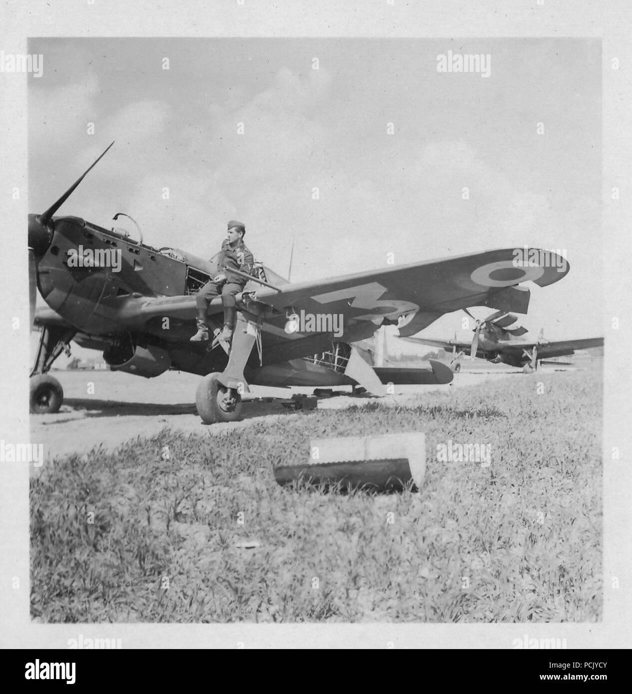 Image from a photo album relating to II. Gruppe, Jagdgeschwader 3: A French Morane-Saunier MS406-C1 fighter provides the perch for a Luftwaffe Gegreiter of II./JG 3, on a captured airfield in France, summer 1940. Stock Photo