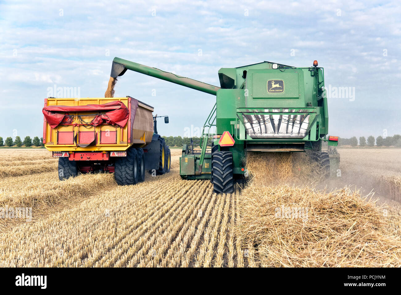 Green combine harvester unloads wheat into tractor with dump truck