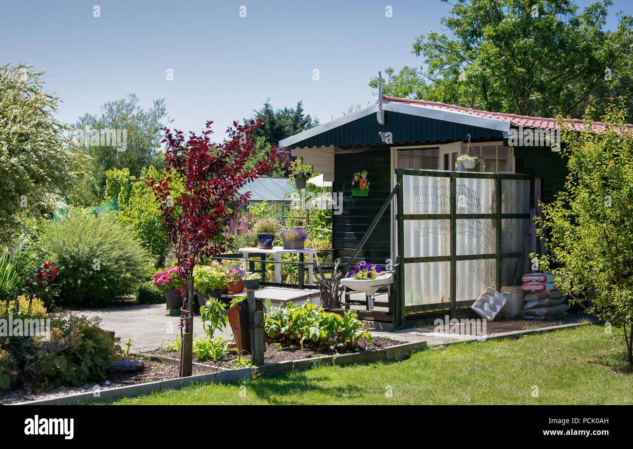 Zaandam, The Netherlands, July 2, 2018 Garden shed with greenhouse