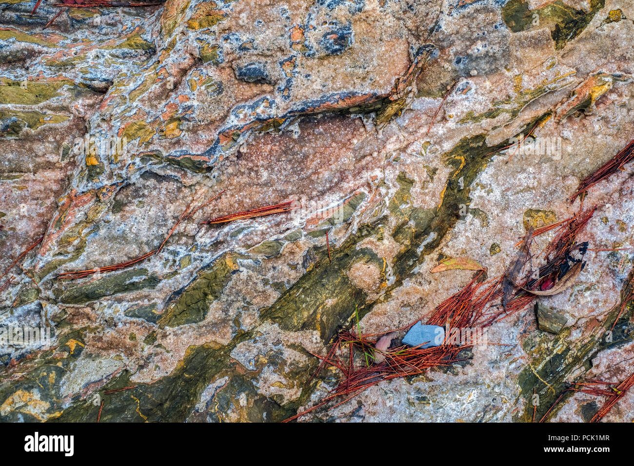 colored rocks and pine needles Stock Photo - Alamy